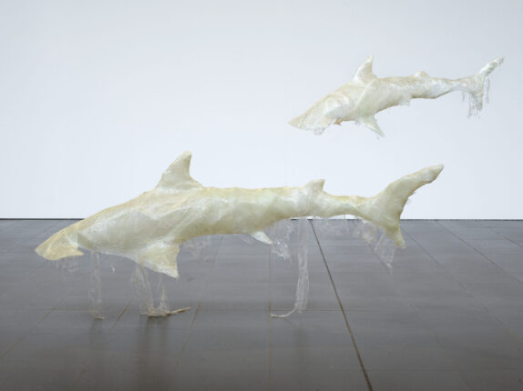 Foto Gerd Plitzner#9