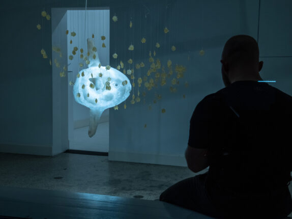 Mondfisch Foto Gerd Plitzner#1