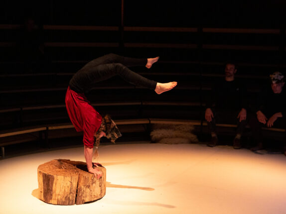 15_DannyWillems_equi chloe buche