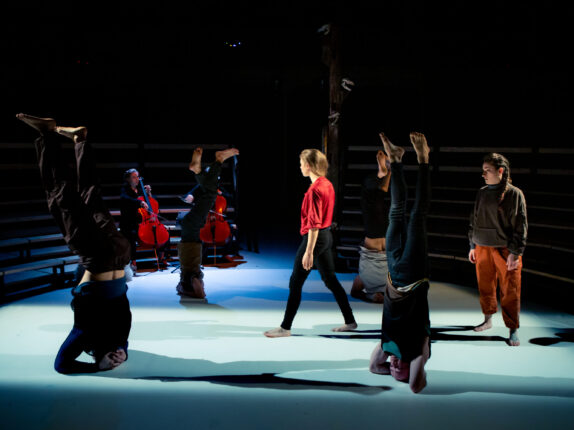 16_DannyWillems_foret